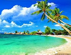 Image result for Desktop Beach Scenes