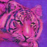 Image result for Preppy Drawing Ideas Tiger Pink