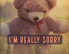 Image result for I'm Sorry My Bro