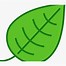 Image result for Cartoon Jungle Leaves