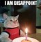 Image result for A Cat Saying Happy Birthday
