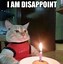 Image result for Too Much Party Cat Meme