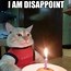 Image result for Drinking Birthday Cat Memes