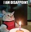 Image result for derpy cats memes birthday