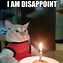 Image result for Happy Birthday Brother Funny Cat Memes