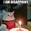 Image result for Cat Lover Birthday Meme