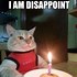 Image result for Cute Happy Birthday Cat Meme