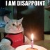 Image result for Grumpy Cat Birthday Meme