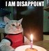 Image result for Happy Birthday Cat Meme