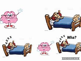 Image result for Brain in Bed Mem