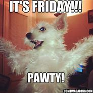 Image result for Happy Friday Holiday Meme