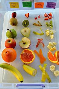 Image result for Preschool Science Fruit Activities