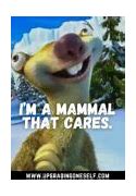 Image result for Sid the Sloth Funny Quotes