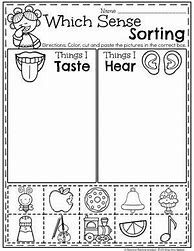 Image result for Five Senses Sorting Worksheet