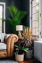 Image result for Living Room Plants Artificial
