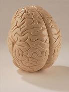 Image result for Giant Brain Suopervilian