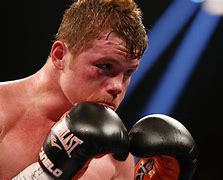 Image result for canelo
