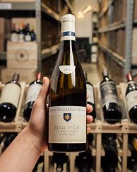 Image result for Dureuil Janthial Rully Margotes Vieilles Vignes
