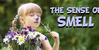 Image result for Inhaling Smell to Be Happy Meme