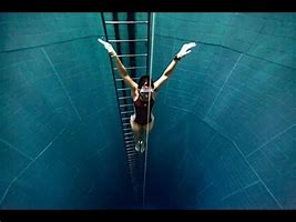 Image result for Deep Swimming Retreival