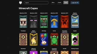 Image result for All Minecraft Cases
