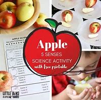 Image result for Apple's and My 5 Senses Tamplet