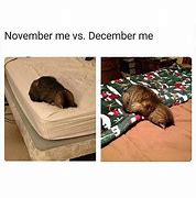 Image result for November 30 Vs. December 1 Meme