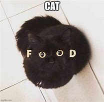 Image result for Elegent UI Clients Cat Food Meme