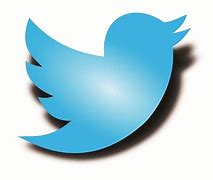 Image result for Twitter Bird Logo Free