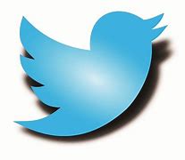 Image result for Twitter Bird Symbol