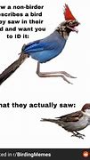 Image result for Bubbles Bird Meme