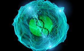 Image result for Smart Brain T-cell