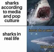 Image result for Shark Mind Explode Meme