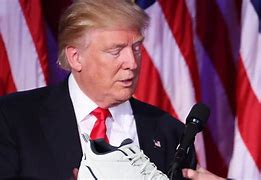 Image result for Trump's New Sneekers