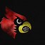 Image result for Louisville Basketball Schedule Printable