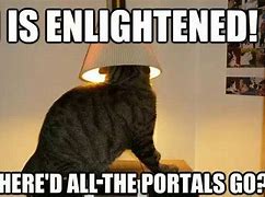 Image result for Enlightened Cat Meme