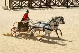 Image result for Chariot Racing Florida