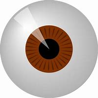 Image result for Brown Eyes SVG