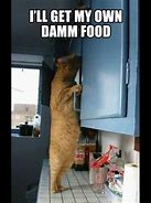 Image result for Where Is Cat Food Meme