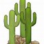 Image result for Saguaro Cactus Blossom Coloring Page