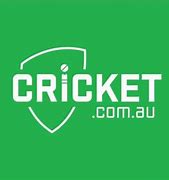 Image result for Making Awards Cricket Machine
