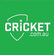Image result for Cricket Screening Near Me