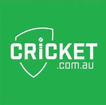 Image result for Large Cricket