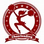 Image result for Bits Cheerleader Logo
