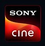 Image result for Sony Camrea Cine