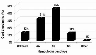 Image result for Hemoglobin Genotype