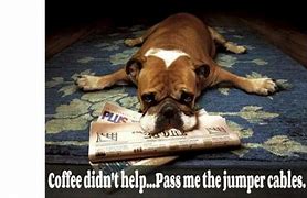 Image result for Funny Coffee Lovers