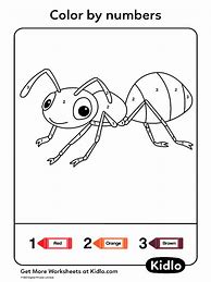 Image result for Bug Color by Number