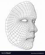 Image result for Face Wireframe