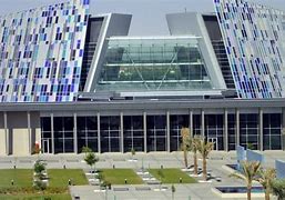 Image result for Uni Arab Emirates